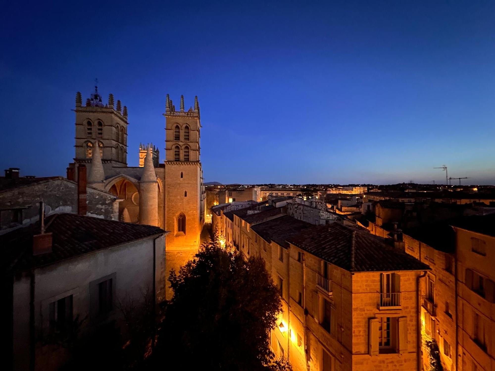 La Terrasse, Vue Sur Les Toits De Montpellierアパートメント エクステリア 写真